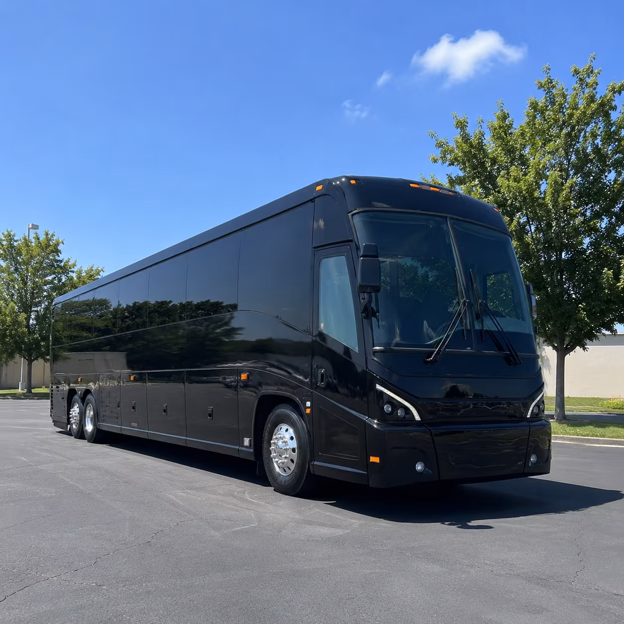 new braunfels charter buses