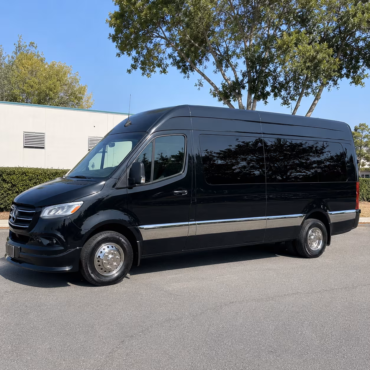 new braunfels sprinter van with driver